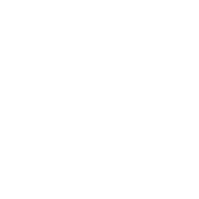 Icon of Stage 3 PES Membrane