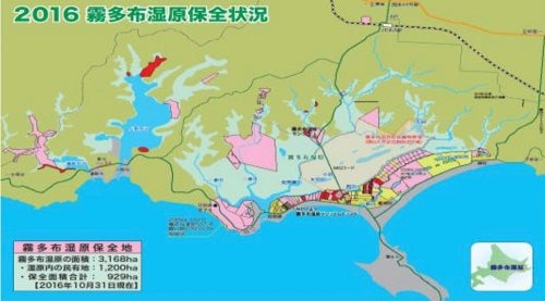 2016 霧多布湿原保全状況