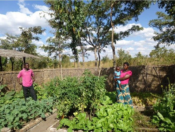 マラウイ共和国へ農業教育支援