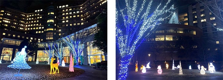 冬季イルミネーションの様子