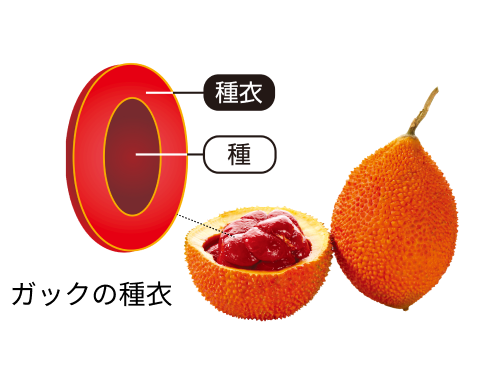 ガックの種衣