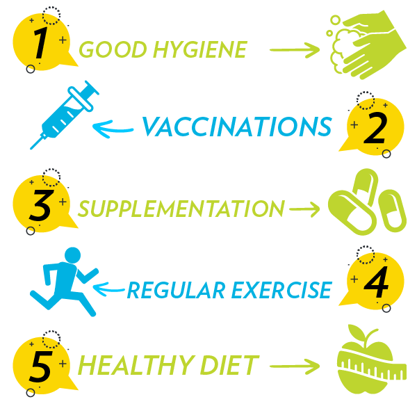 ProtectImmuneSystem_Banner2